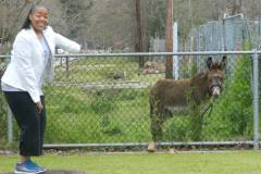 10011645_224203984434785_1064733367_o