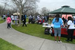 1898395_224205147768002_1619116417_o